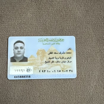 Nader Elfeky