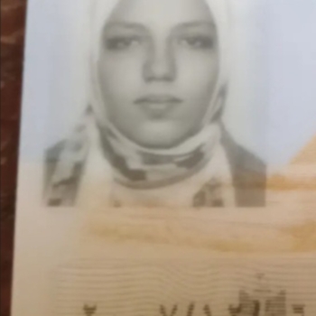 Alaa Attia Deghidy