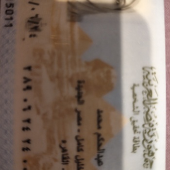 Zienab sobhy Abdelhakam