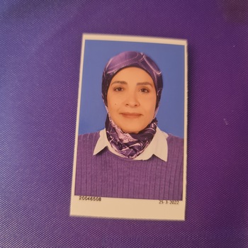 Lobna Elrefaei