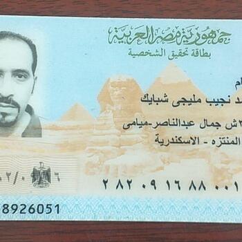 Hesham Mohamed Naguib Meligy