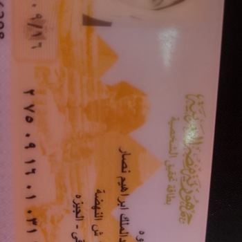Marwa Abdelmalek