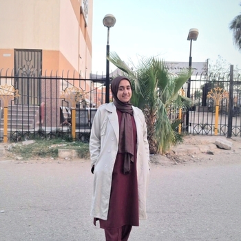 Alaa Aref Elhady