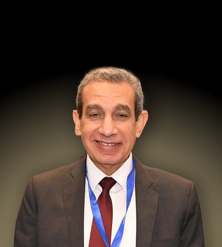 Hussein Hassab Elnaby