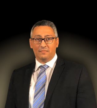 Mohamed Lotfy ElSaie