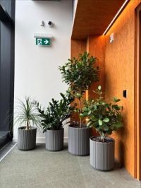 Décor végétal