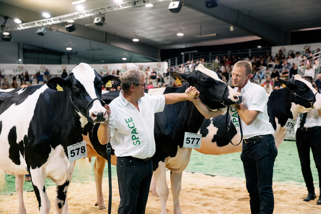 concours-prim-holstein_space2025_53558b11-560a-4685-aa75-8af30b147d8c_e16de64a-b0b8-4af8-b914-382a3cf13d88.jpg