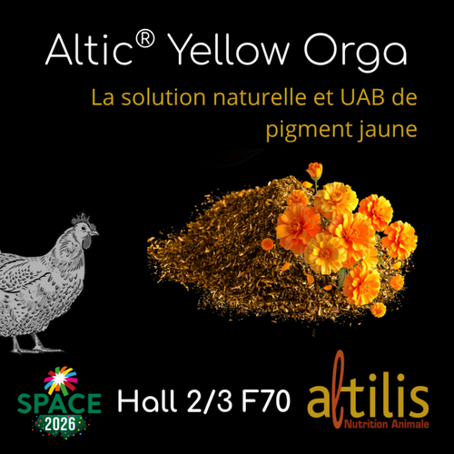 Altic® Yellow Orga