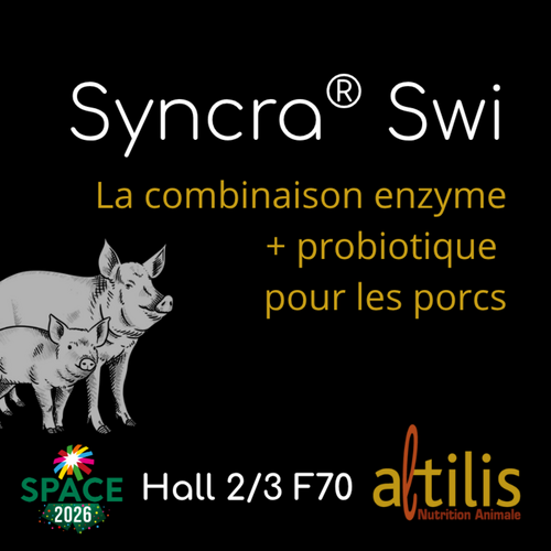 Syncra® SWI