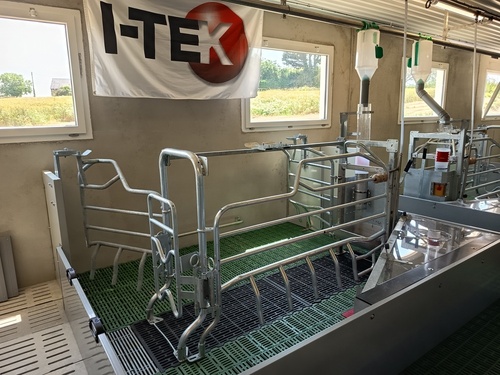 MATEK 2.0 - WELL BEING FARROWING PEN