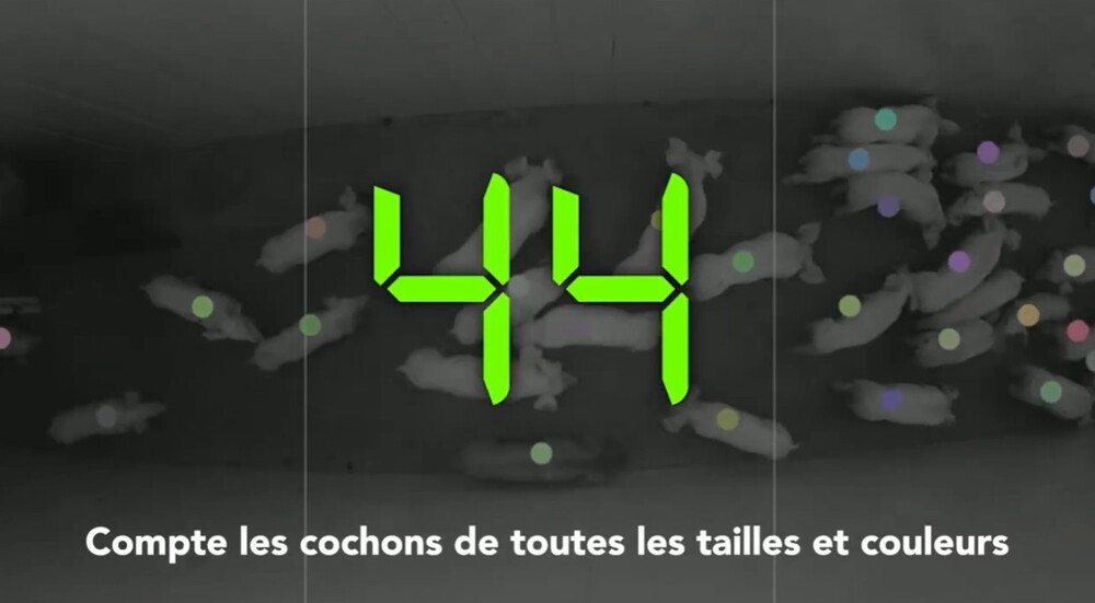 SmaRt Counting is an automatic pig counting solution with 99.9% accuracy