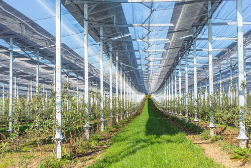 Abri climatique photovoltaïque