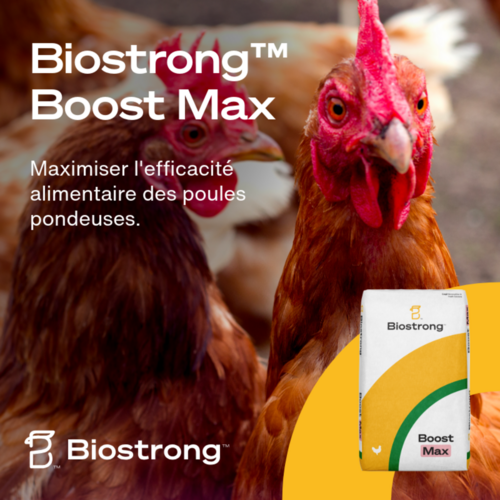 Biostrong™ Boost Max