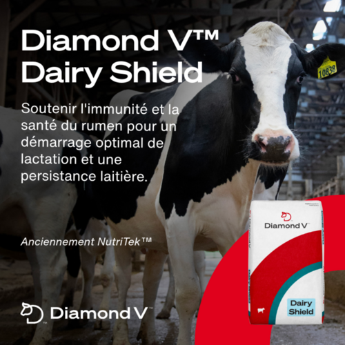 Diamond V™ Dairy Shield (anciennement Nutritek)