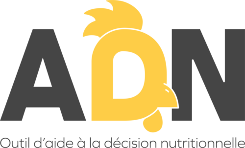 ADN CHAIR