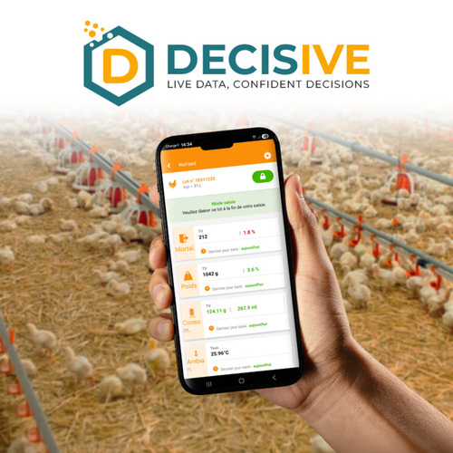 DECISIVE