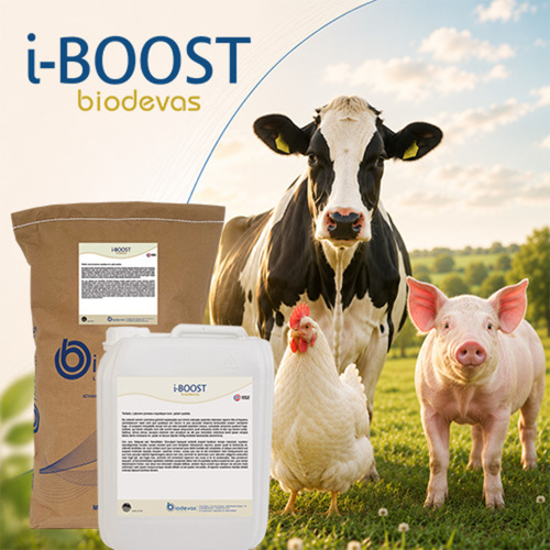 i-Boost