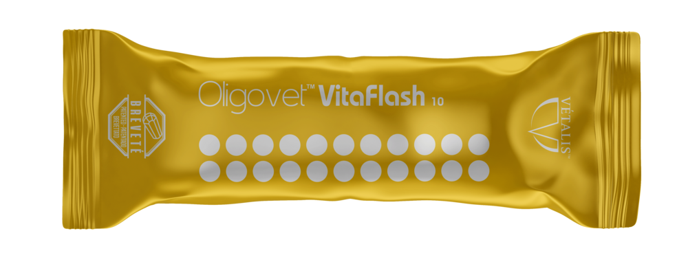 Oligovet Vitaflash 10
