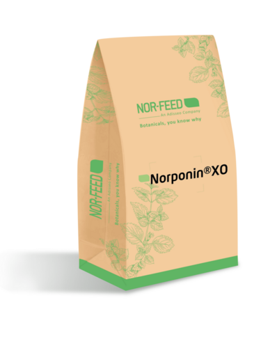 Norponin® XO