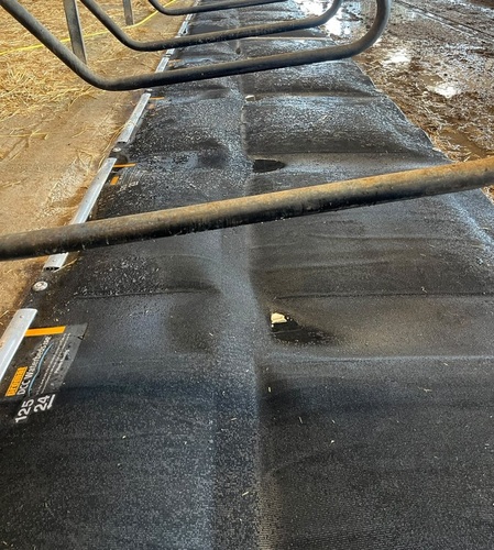 DCC WATERBEDS ISO