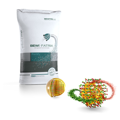 BEWI®-FATRIX Fortify