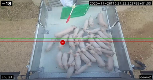 AnimalCounter