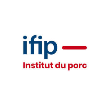 IFIP