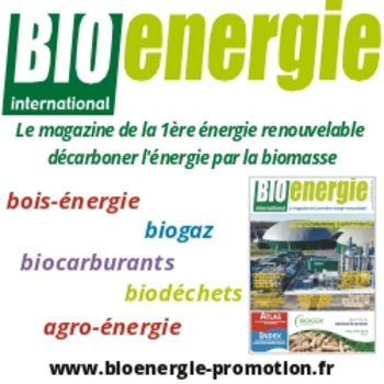 BIOENERGIE INTERNATIONAL