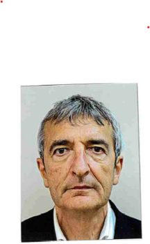 Dominique Trévisan