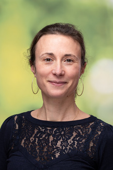 Laure Fainzang Noel