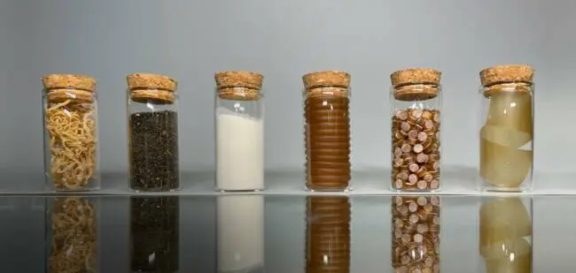 FlexSea: an edible and biodegradable bioplastic