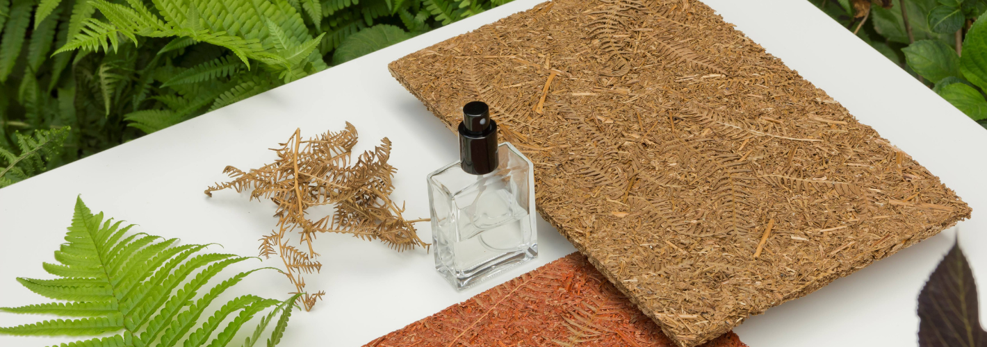 [Start-Up] Biomaterials: The New Materialist is paving the way for a regenerative approach
