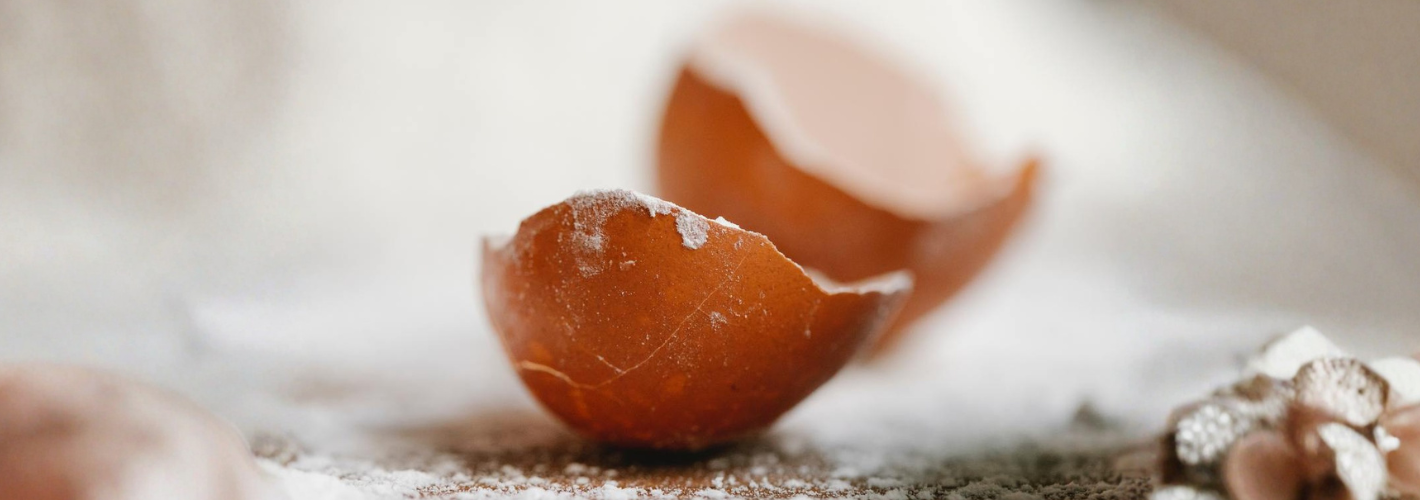[New Materials] Circul’Egg: Recycled and Bio-Based Calcium Carbonate for a Sustainable Industry