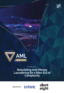AML Deep Dive Report 2024