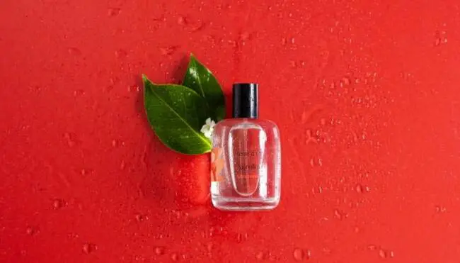 Terre d’Oc sources an eco-designed packaging solution from Coverpla