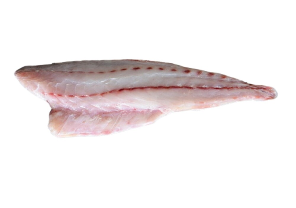 Ref. 284395 Filet de maigre élevage 1Kg+ avec peau gratté