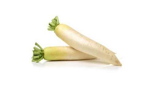 Ref. 209447 Radis long blanc 5 kg Origine France BIO