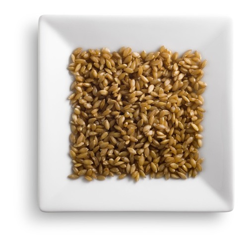 Petit épeautre BIO 1,8 kg