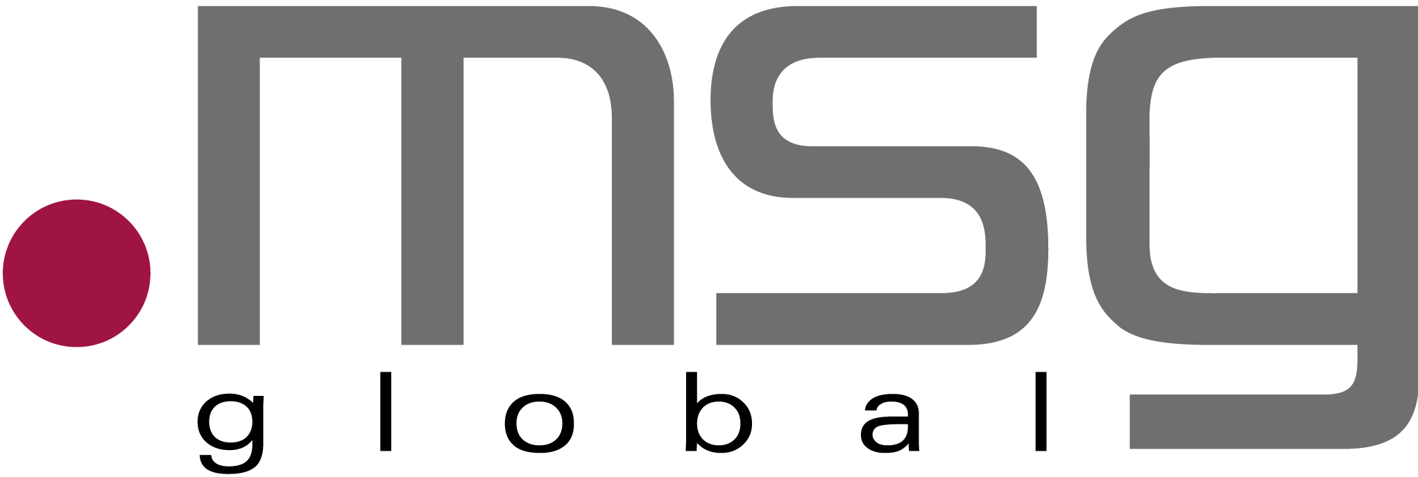 MSG GLOBAL SOLUTIONS FRANCE