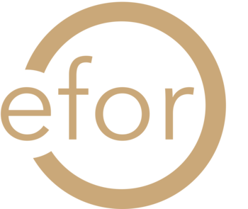 EFOR GROUP