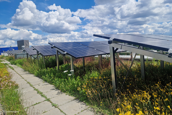 Solargründächer: Möglichkeiten, Planung und Praxis