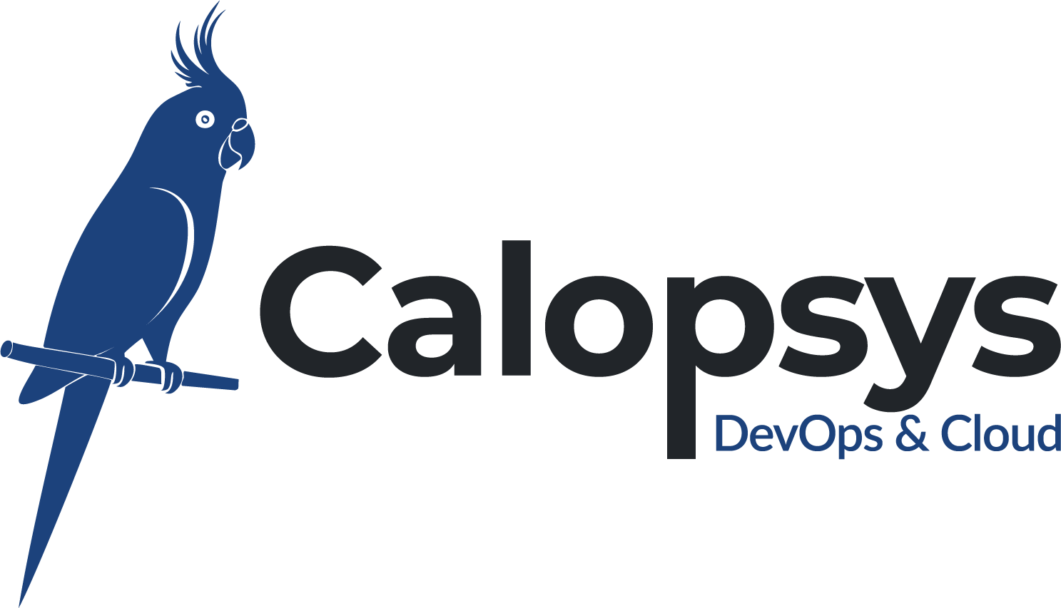 Calopsys