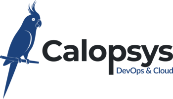CALOPSYS