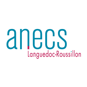 ANECS LR