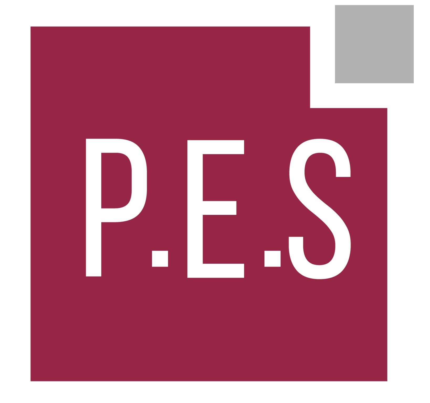 PAYE EXPERT SOLUTION