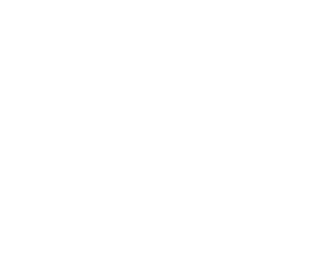 SIDO Lyon