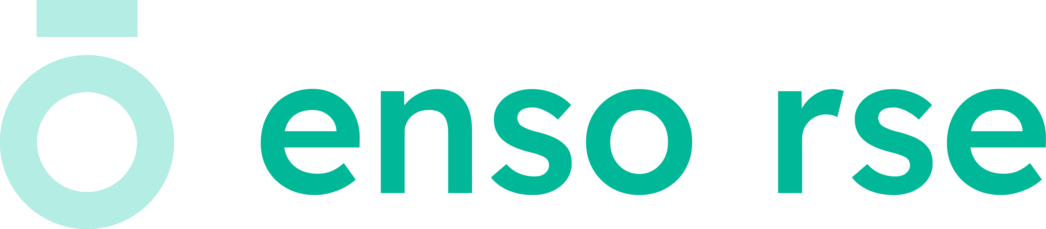 ENSO RSE