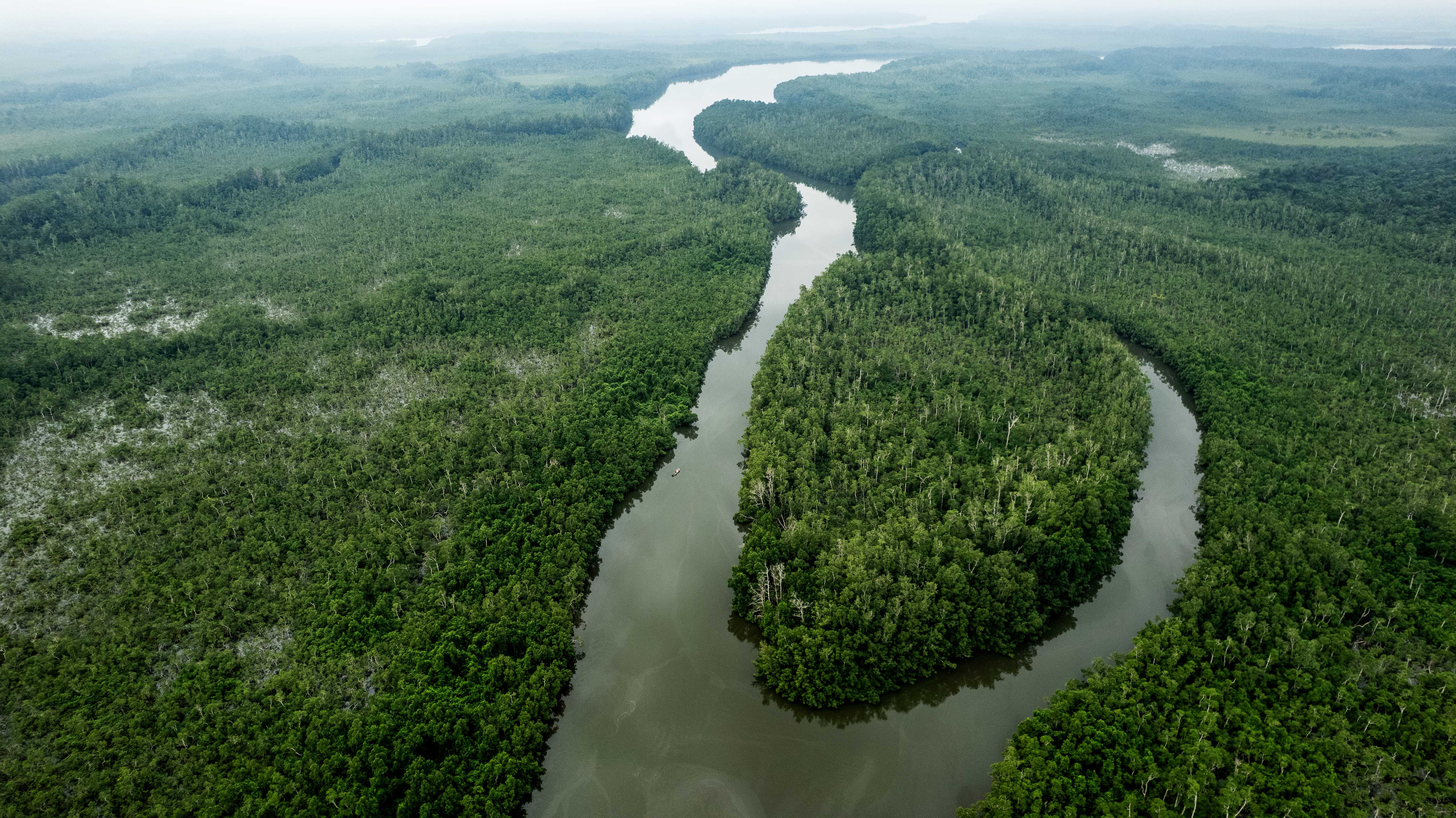 Mangroves : rencontre entre forêt et océan, une exposition immersive à découvrir à PRODURABLE