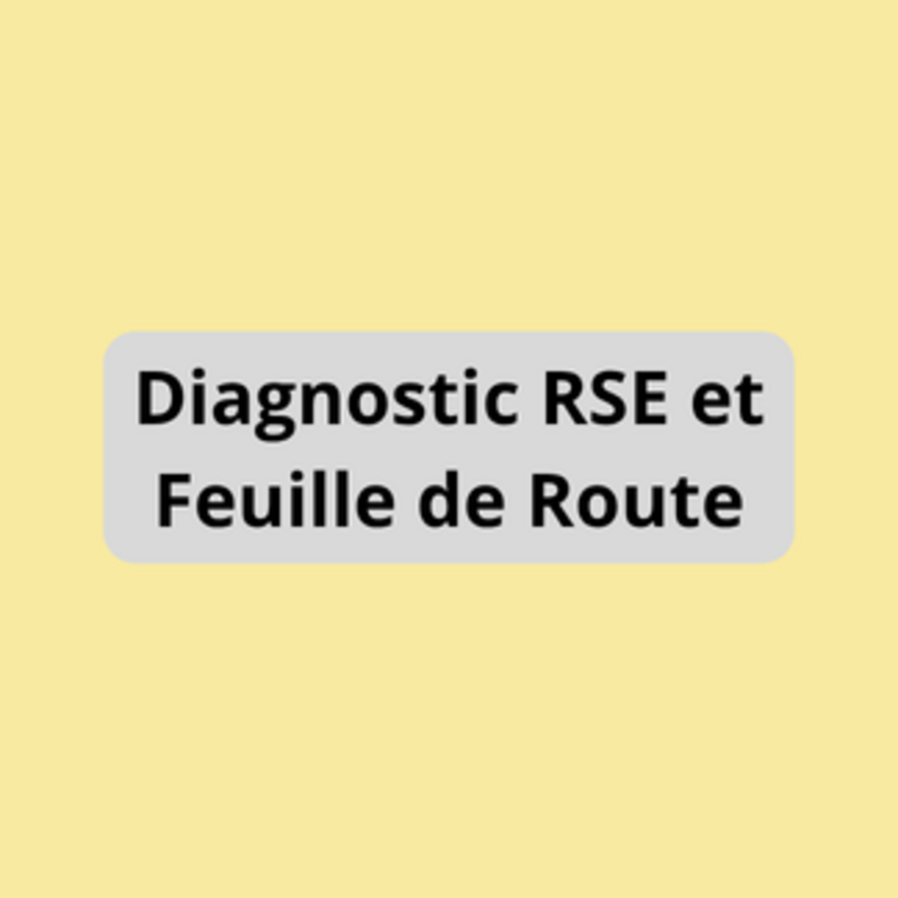 Diagnostic RSE et Feuille de Route