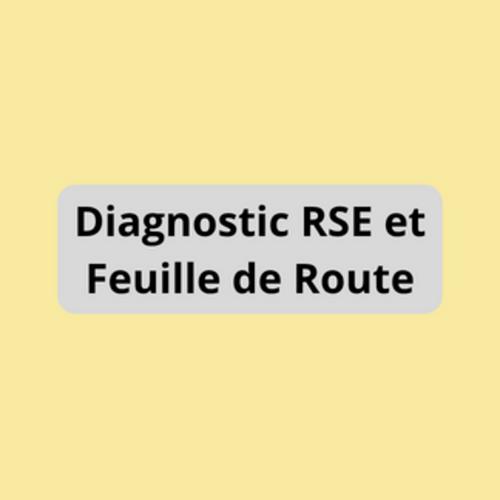 Diagnostic RSE et Feuille de Route